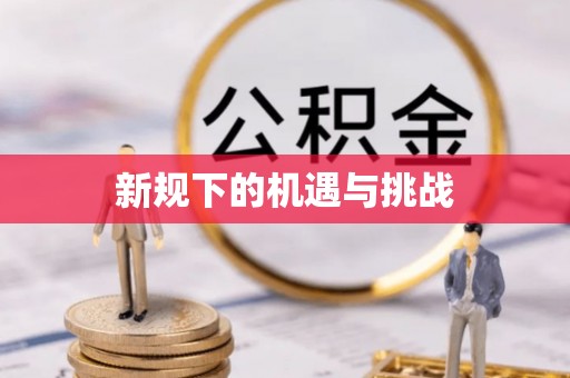 利津新规下的机遇与挑战