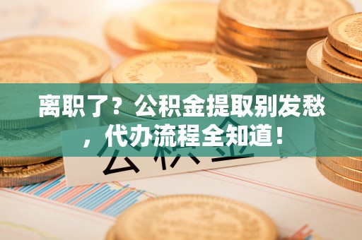 利津离职了？公积金提取别发愁，代办流程全知道！