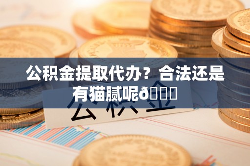 利津公积金提取代办？合法还是有猫腻呢😏